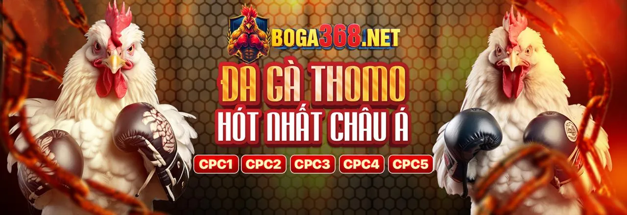 Đăng nhập an toàn, giao dịch nhanh chóng 65win bet