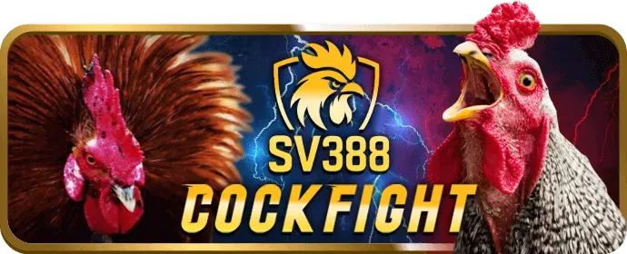 Mẹo chơi casino hiệu quả tại 65win bet